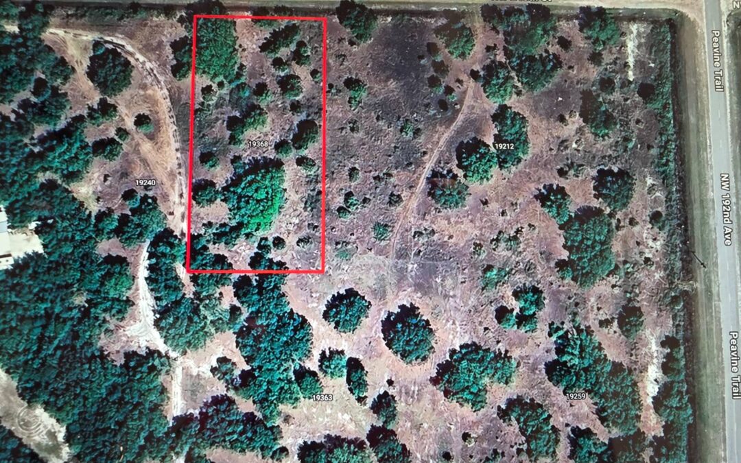 19368 NW 248th Street, Okeechobee, FL 34972